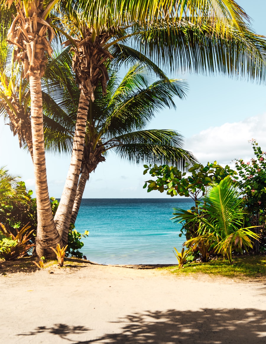 Sunlit palm trees leaning over turquoise water